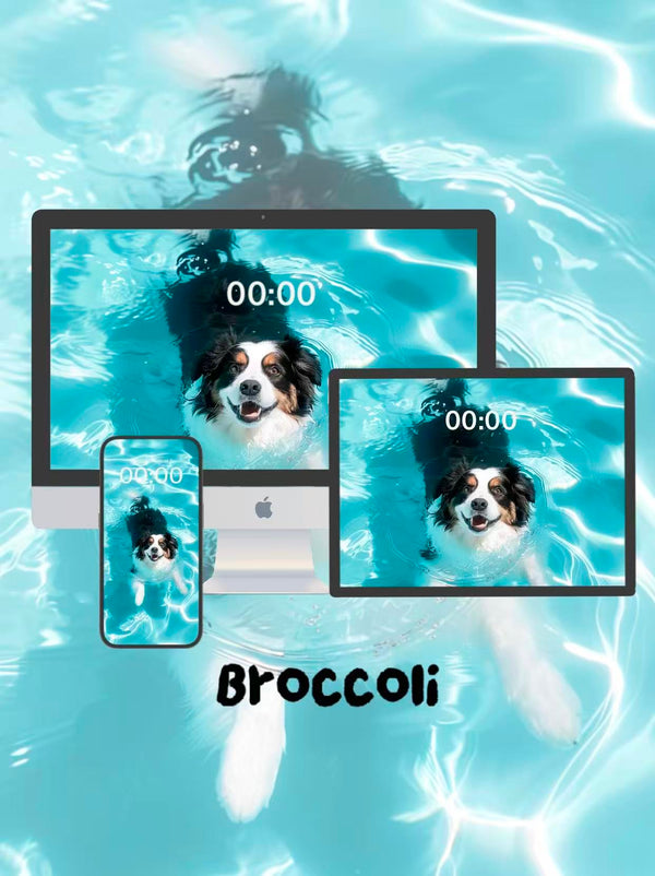 Hey coach! Teaching all the pups to doggy-paddle? 🐶Phone / ipad / pc wallpaper（176)