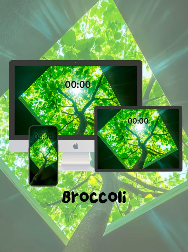 Calm Screensaver: All Roads Lead to Growth 🛤️Phone / ipad / pc wallpaper（183)