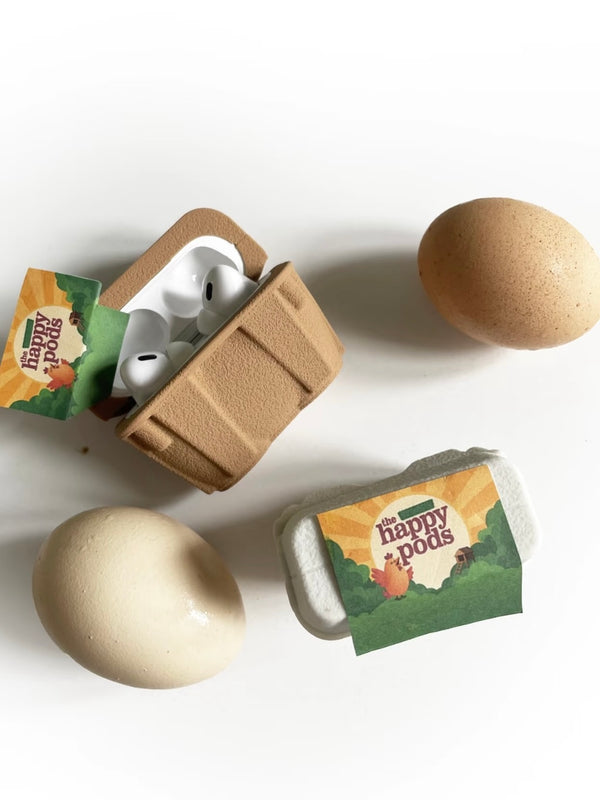 Egg Package Series-AirPods case