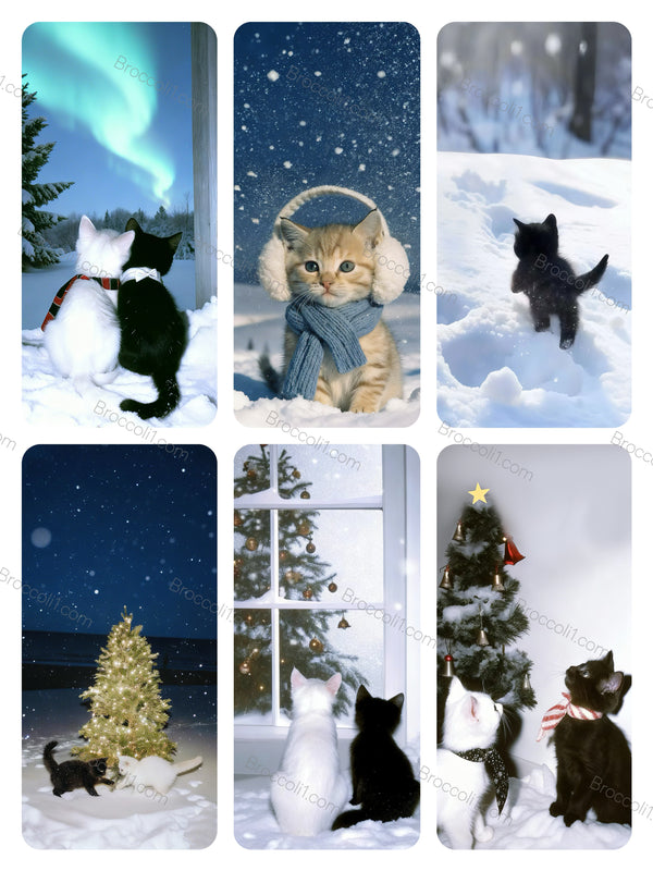 🐈‍⬛🐈🎄⭒꙳⛧＊⭑ (24in total) Download wallpaper through a Google Drive link（245）