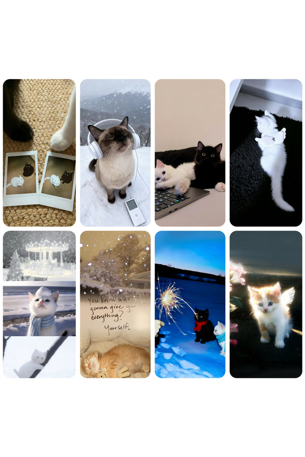 kitten 🐈‍⬛ (8in total) 4K（247）