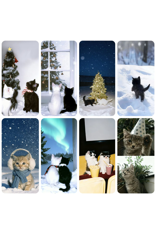 ❄️🐈‍⬛🐈🎄kitten (8in total) 4K（246）